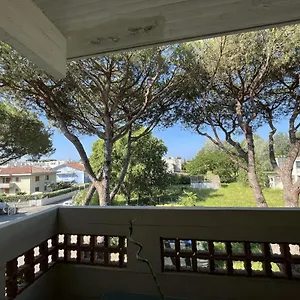 Appartamento Casa Palma - 300mt Dal Mare Italia